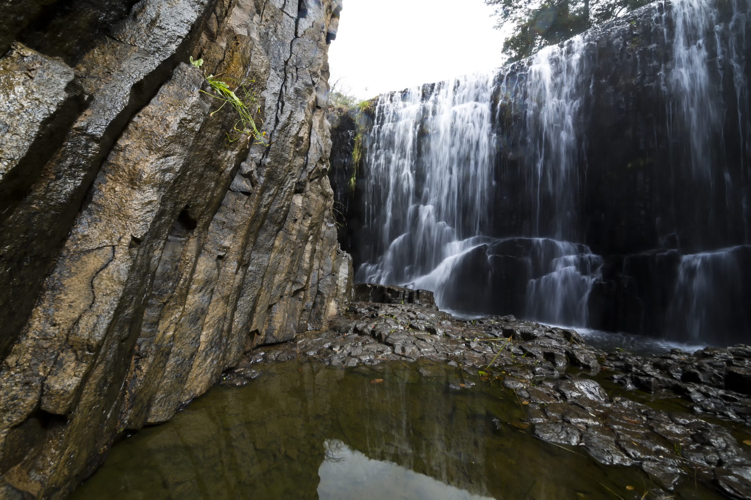 Is Ridgley, TAS a good place to live?