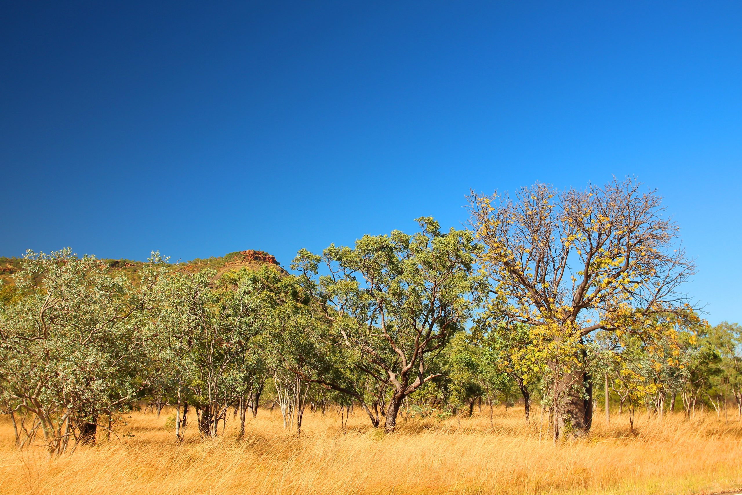 Is Timber Creek, NT a good place to live?