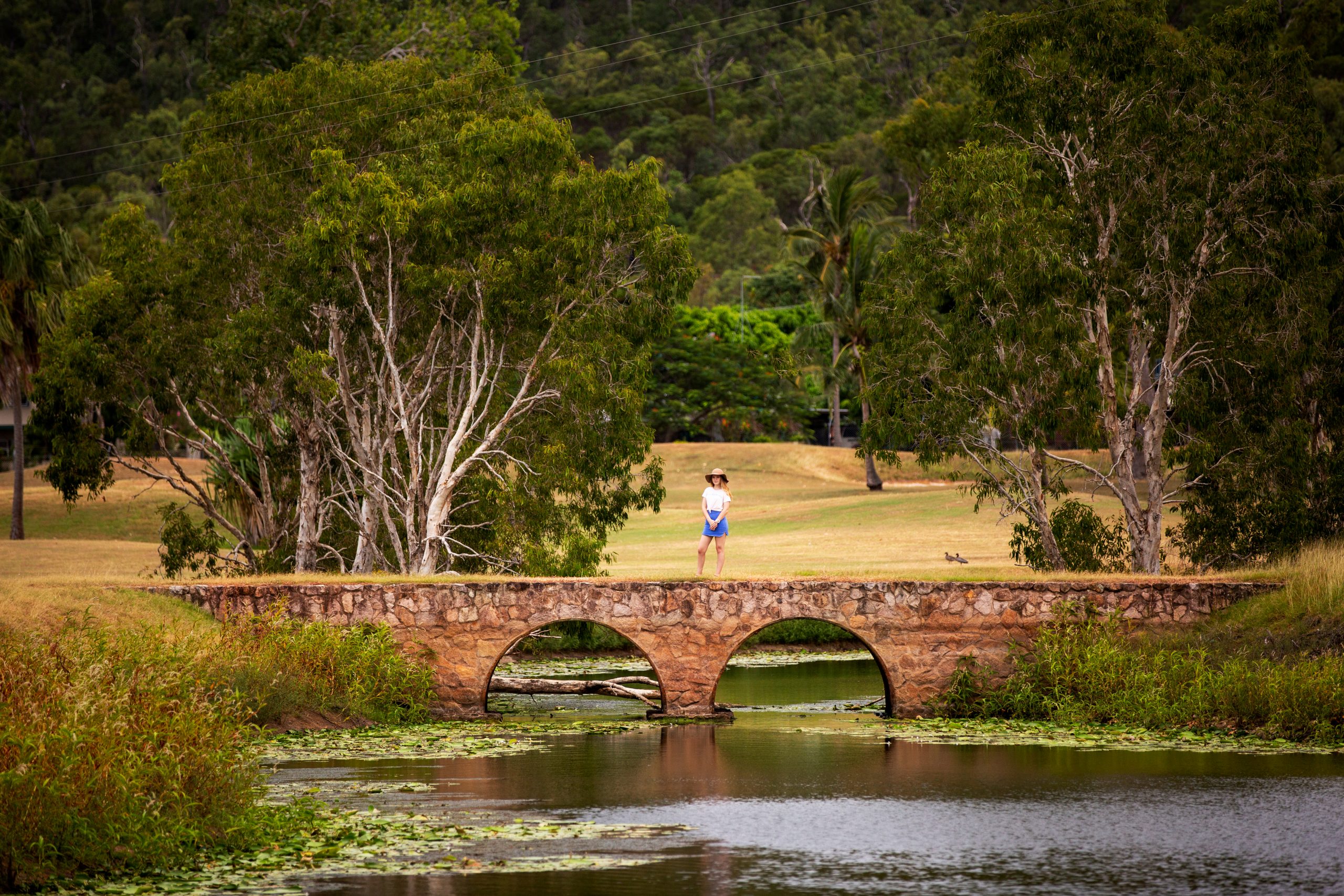 Is Haliday Bay, QLD a good place to live?