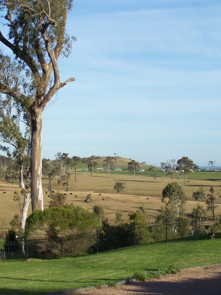 Living in Brandy Hill, NSW Your Guide to Regional Australia
