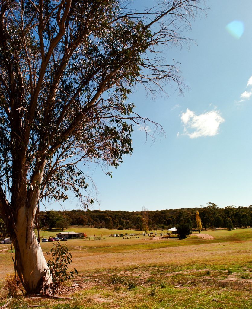 It’s always a Good Day in Mudgee - Image 2