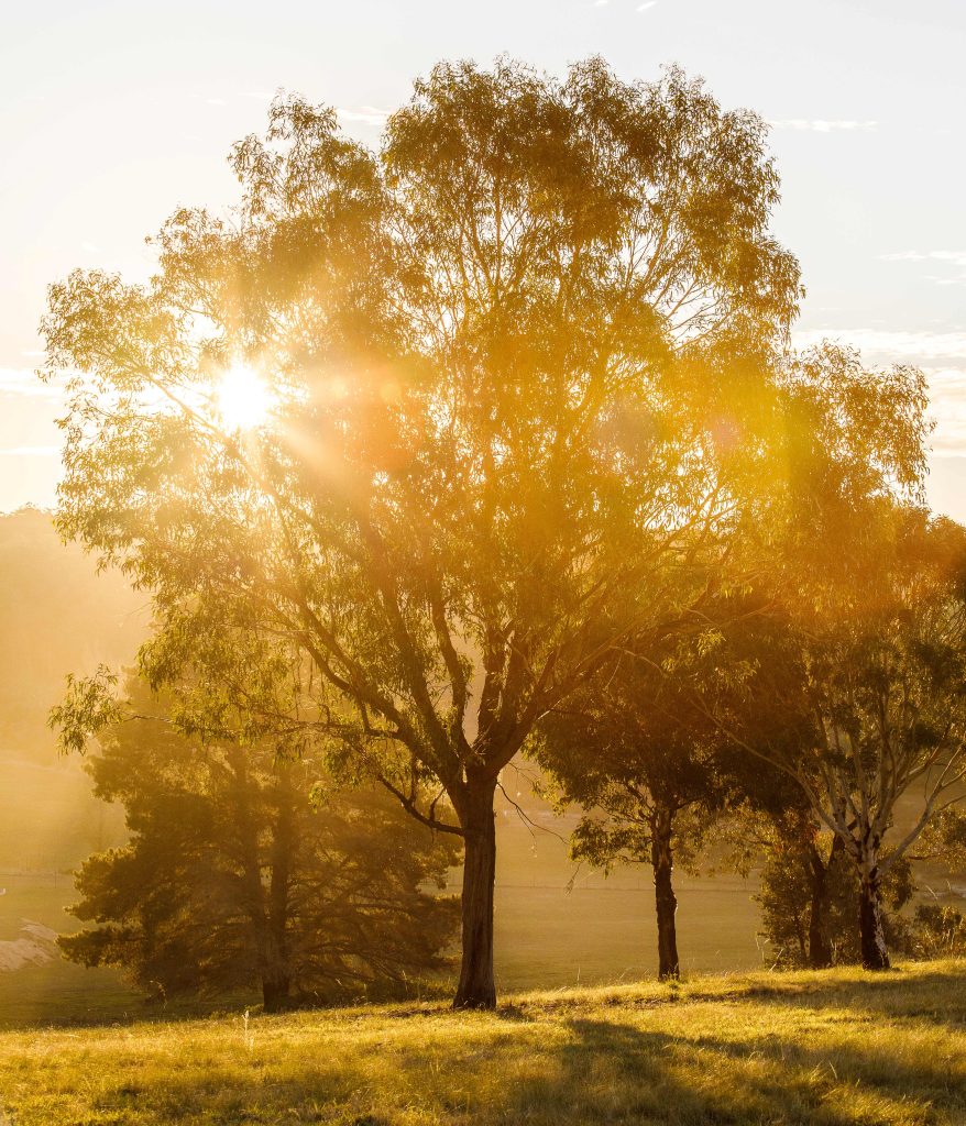 It’s always a Good Day in Mudgee - Image 6