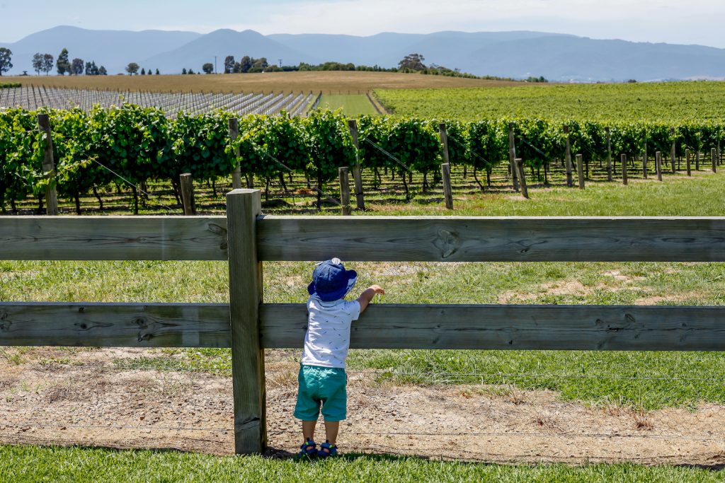 Living in Yarra Valley and the Dandenong Ranges