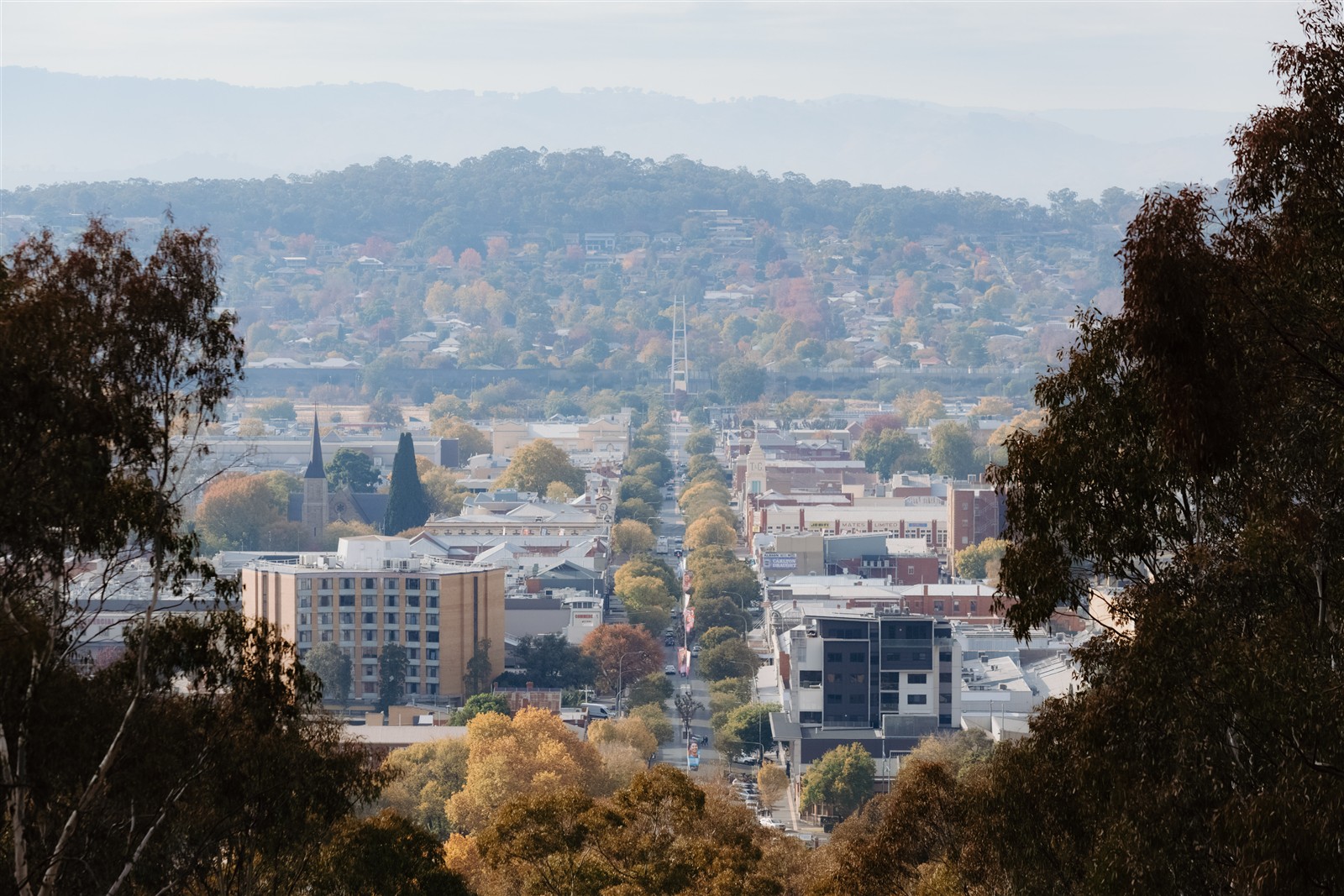 Albury, NSW
