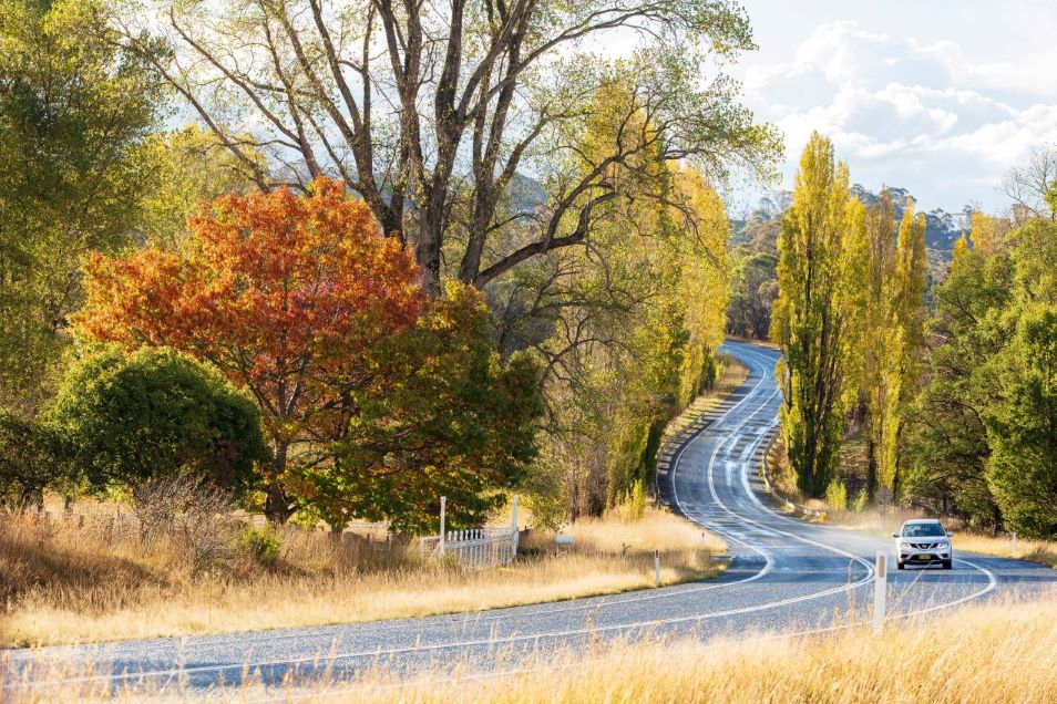 An Exciting opportunity to join a Glen Innes General Practice awaits! - Image 1